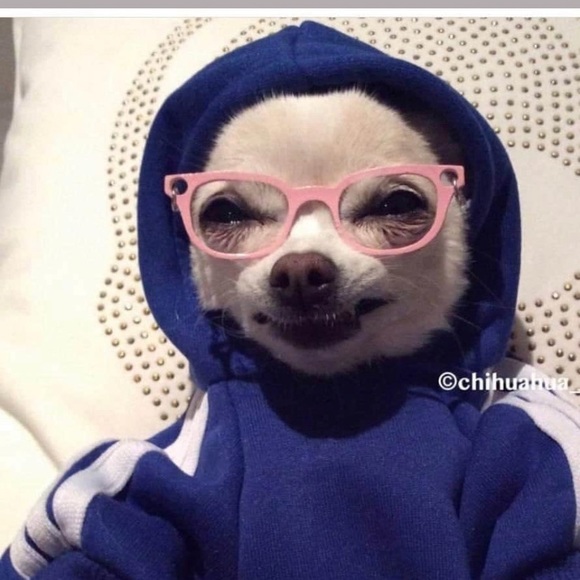 Meet your Posher, Adøt - Picture 1 of 1